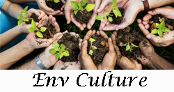 Environmental Culture